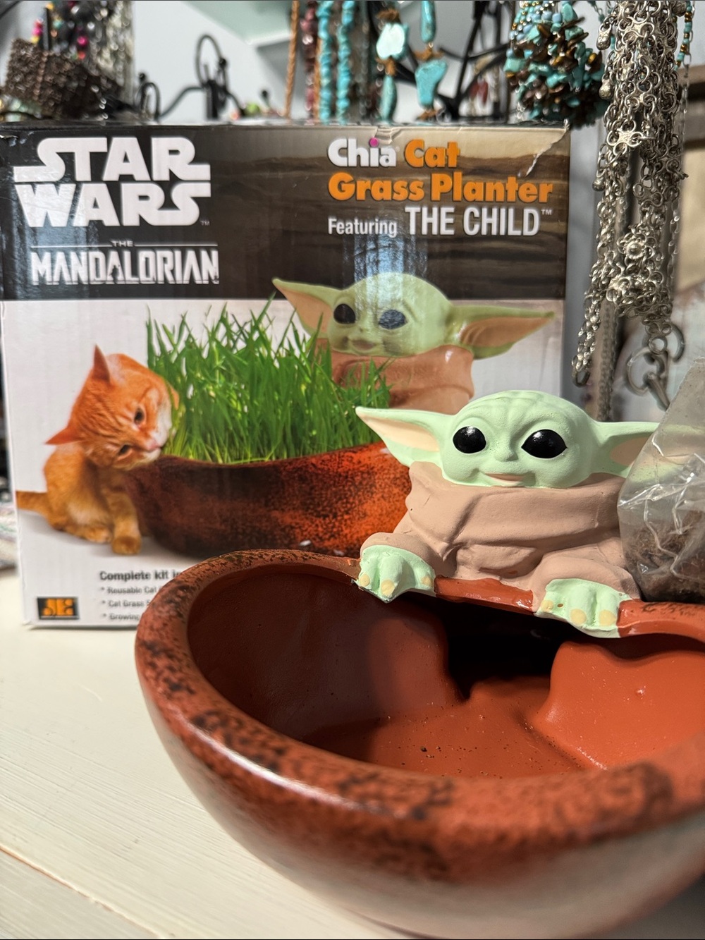 Star Wars The Child Cat Grass Planter Bowl